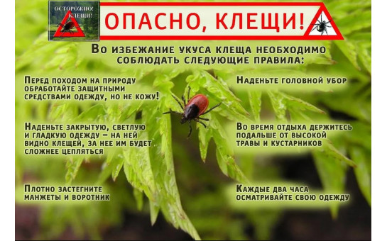 Осторожно — клещи